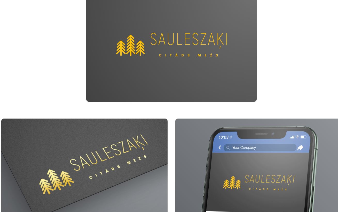 Sauleszaķi — Elizabete vizuālais materiāls 3