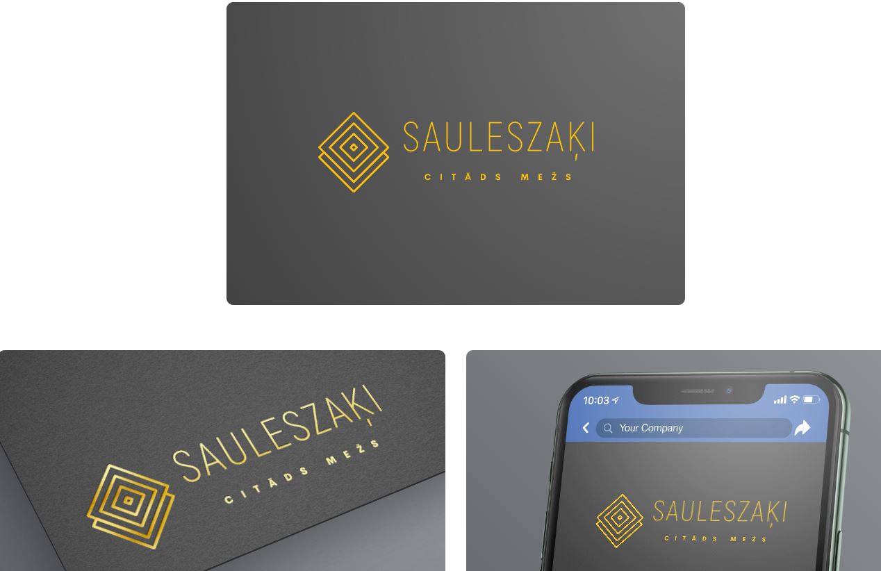 Sauleszaķi — Elizabete vizuālais materiāls 4