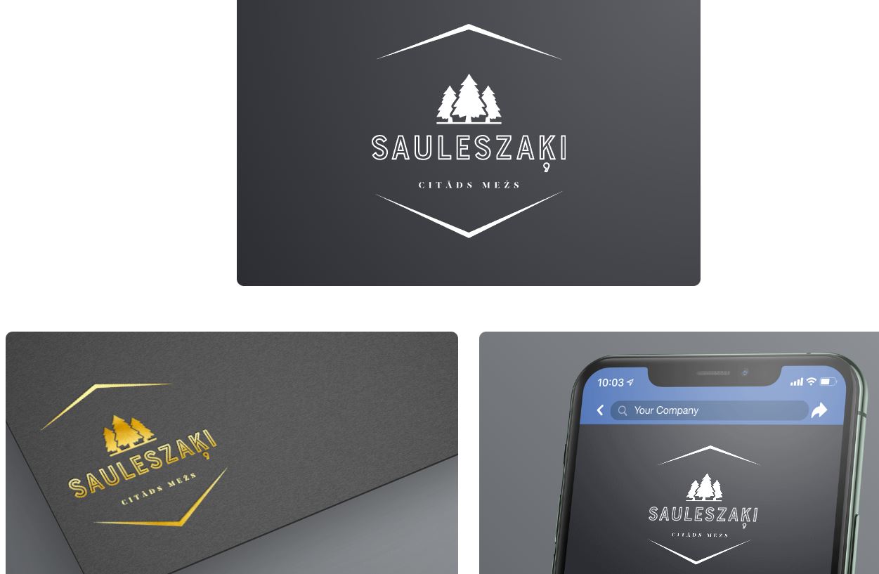 Sauleszaķi — Elizabete vizuālais materiāls 8