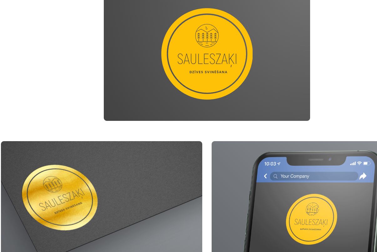 Sauleszaķi — Elizabete projekts, RETURN